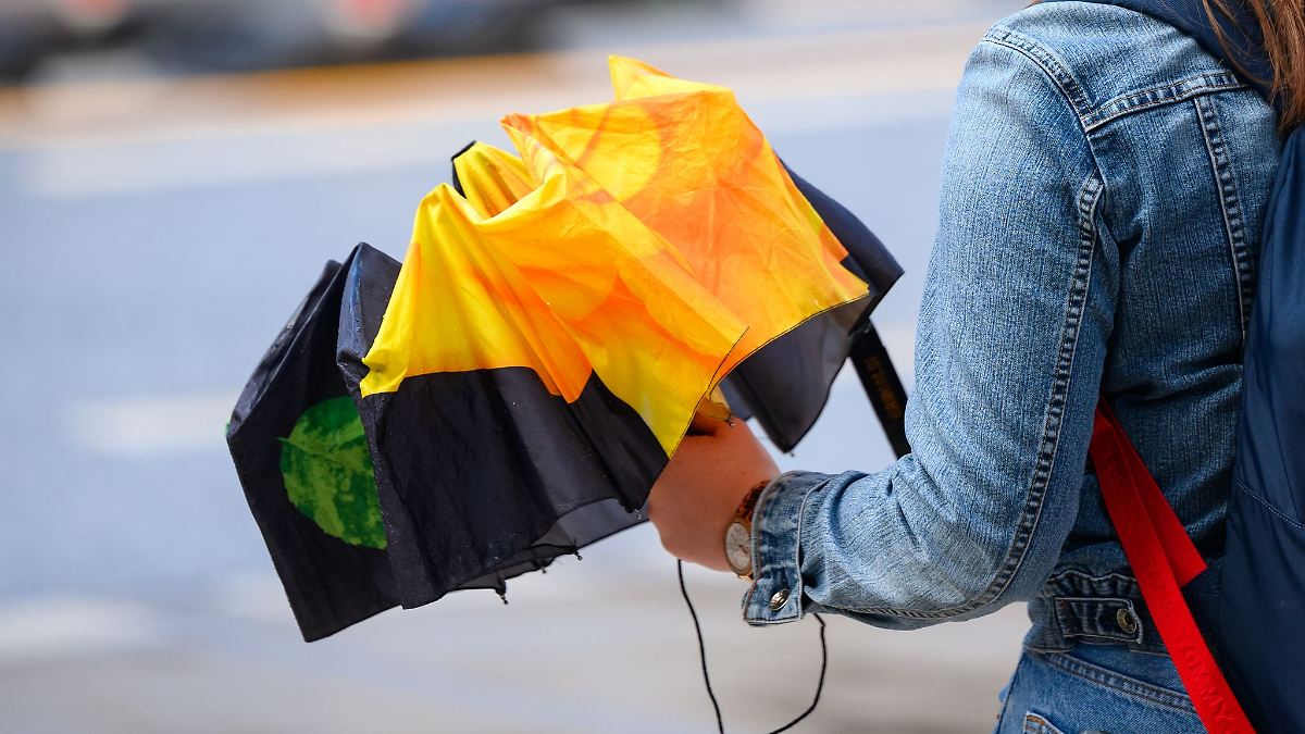 Hamburg & Schleswig-Holstein: Gewitter, Sonne, Regen – Wetter im Norden bleibt wechselhaft