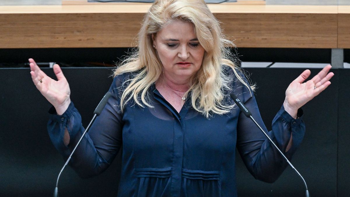Berlin & Brandenburg: AfD: Zuschuss für Silvesterparty beibehalten