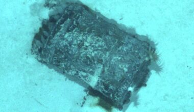 Nuklearer Abfall am Meeresgrund: Forscher finden beschädigte Atommüll-Fässer im Atlantik