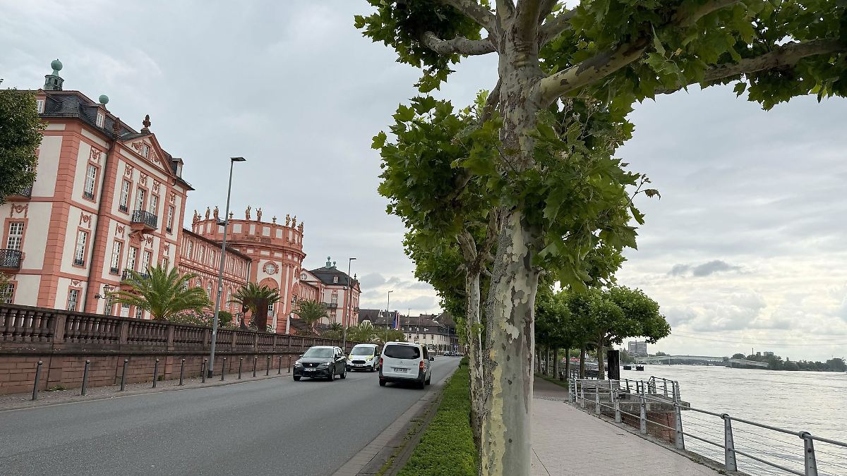 Hessen: Wiesbaden testet autofreies Rheinufer