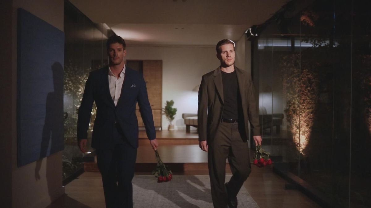 "Die Bachelors": "Ich werde mich hier nicht zum Affen machen!"