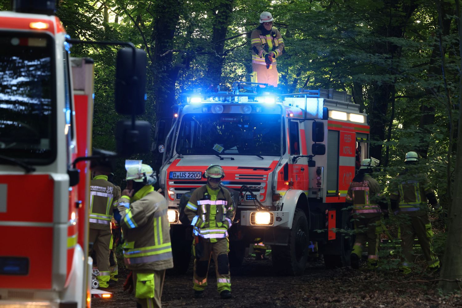 Düsseldorf: Feuerwehr gründet Spezialeinheit "Wald- und Vegetationsbrandbekämpfung" - Ddorf-Aktuell