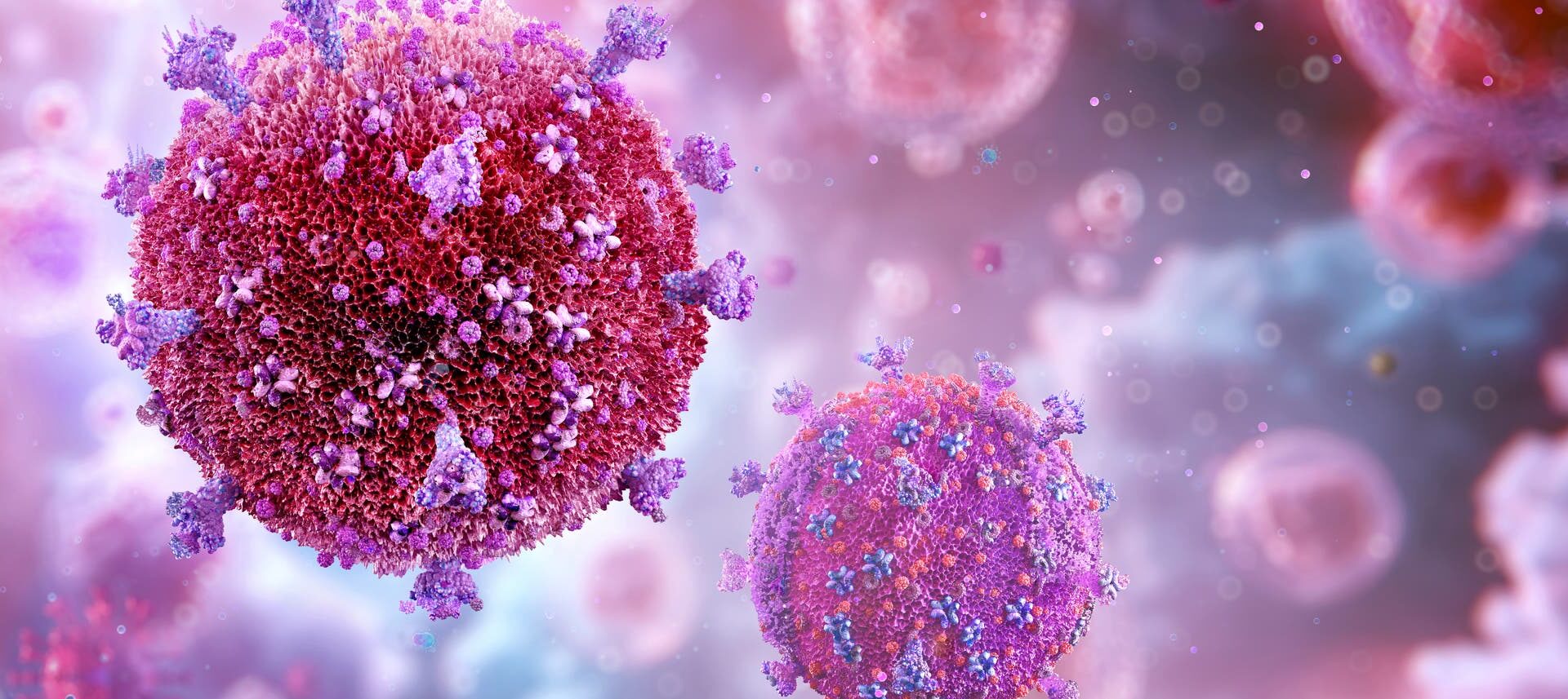 3D-Darstellung von Viren in einer mikroskopischen Ansicht. Die kugelförmigen Strukturen sind mit stachelartigen Proteinen bedeckt und schweben in einer rosa-violetten Umgebung. Die Darstellung betont die komplexe Struktur und die Oberfläche der Viren, um ihre Beschaffenheit und mögliche Interaktionen zu veranschaulichen.