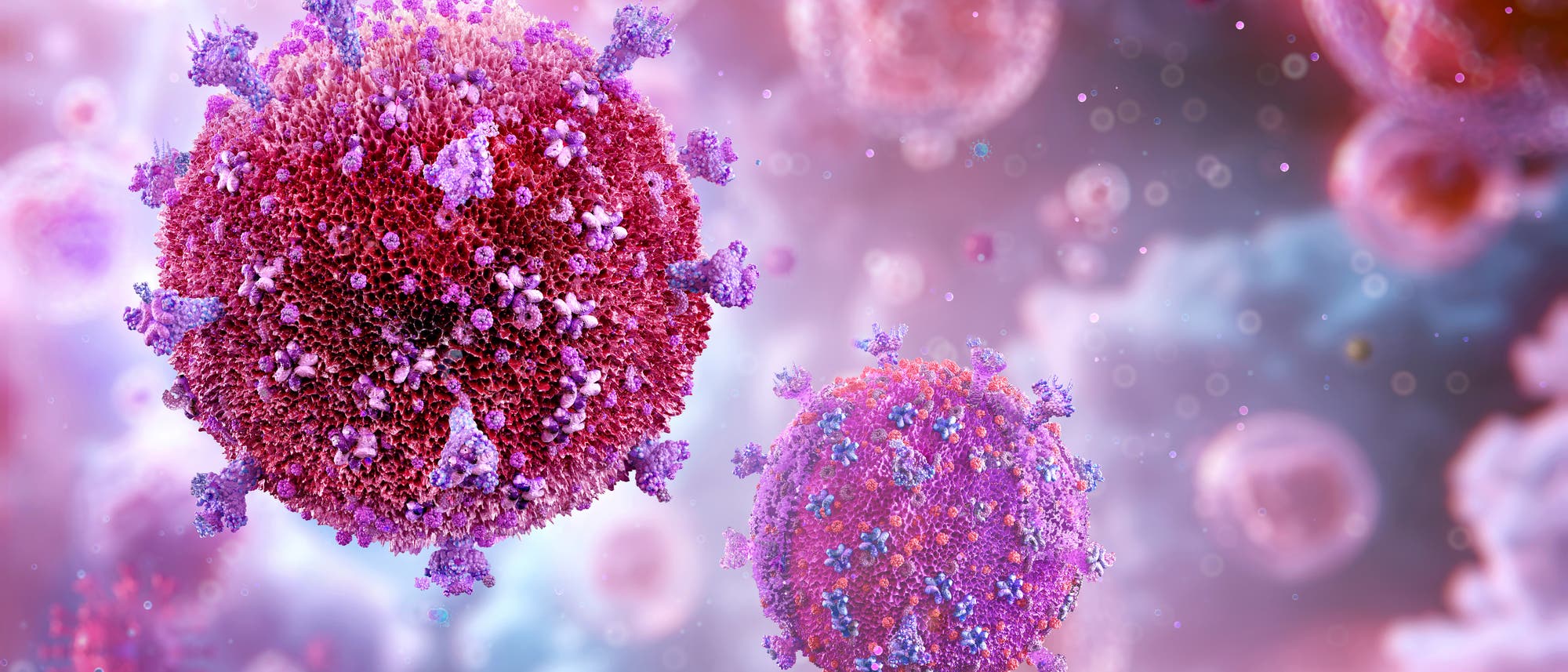3D-Darstellung von Viren in einer mikroskopischen Ansicht. Die kugelförmigen Strukturen sind mit stachelartigen Proteinen bedeckt und schweben in einer rosa-violetten Umgebung. Die Darstellung betont die komplexe Struktur und die Oberfläche der Viren, um ihre Beschaffenheit und mögliche Interaktionen zu veranschaulichen.