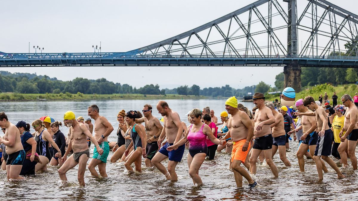 Sachsen: Hunderte Teilnehmer beim Elbeschwimmen in Dresden