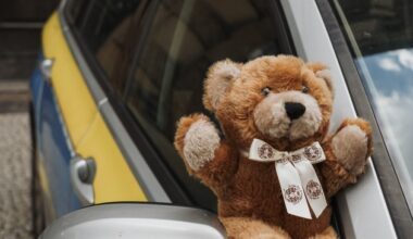 POL-H: Teddys für Trost in Hannover - mehr als 900 kleine Helfer für Polizeieinsätze