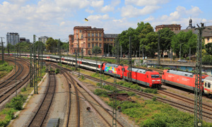 IMG 9964