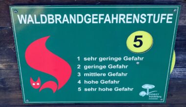 Berlin & Brandenburg: Waldbrandgefahr in Brandenburg gesunken - Ausnahme im Süden