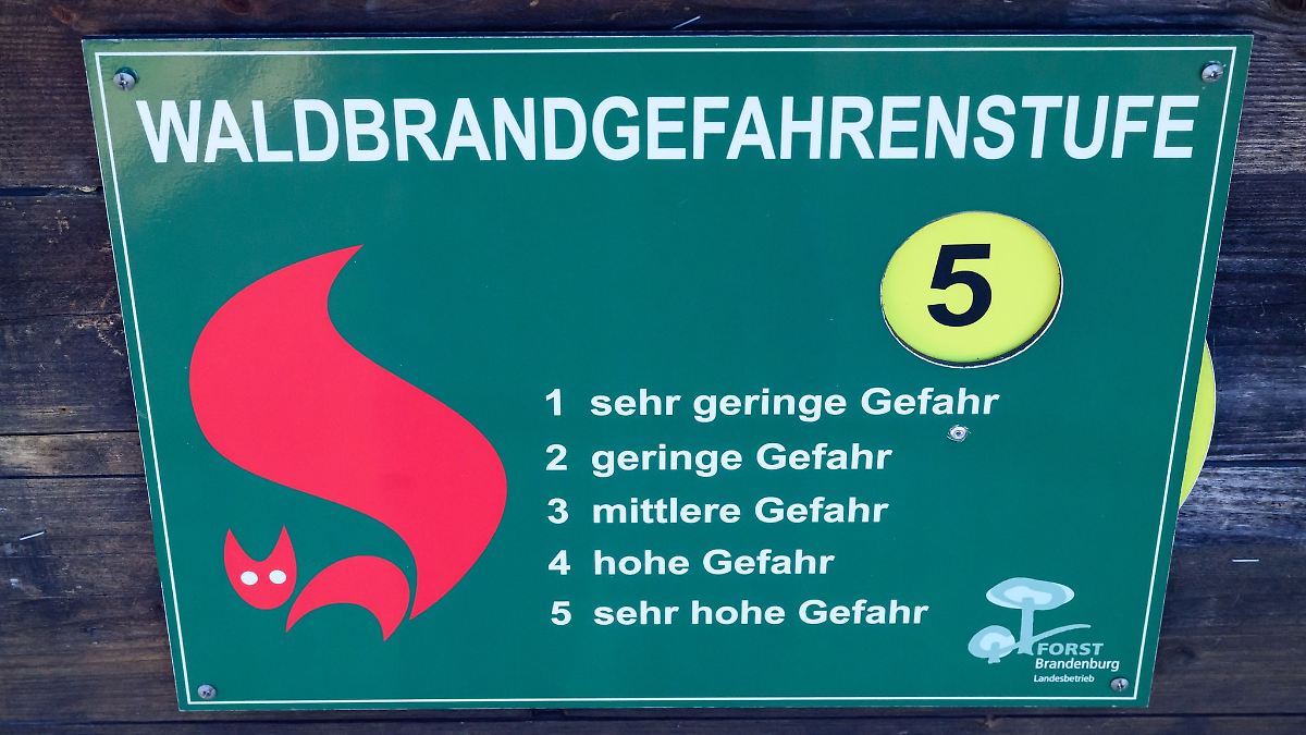 Berlin & Brandenburg: Waldbrandgefahr in Brandenburg gesunken - Ausnahme im Süden