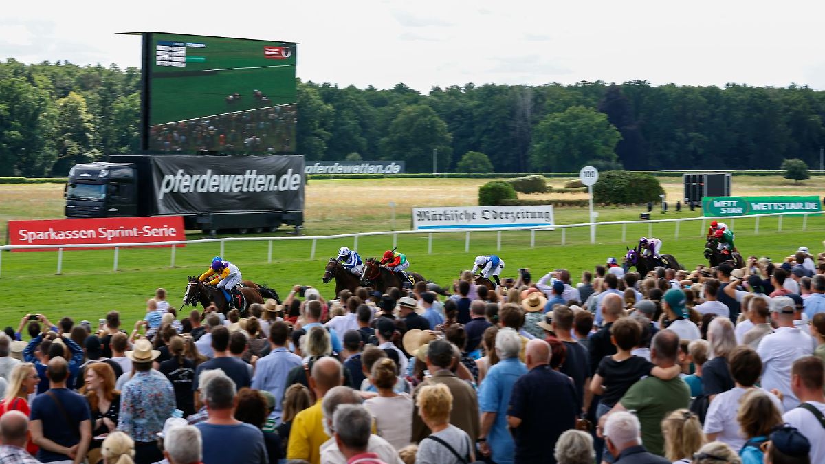 Berlin & Brandenburg: Padre Palou gewinnt Großen Preis in Hoppegarten