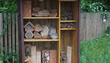 aha tritt dem Insektenbündnis Hannover bei – mehr Artenvielfalt