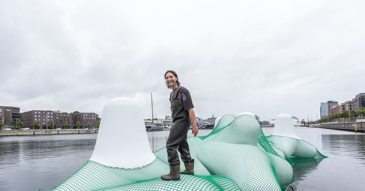 Newsletter Kultur leben in und um Kiel: Tipps ab 31. Juli