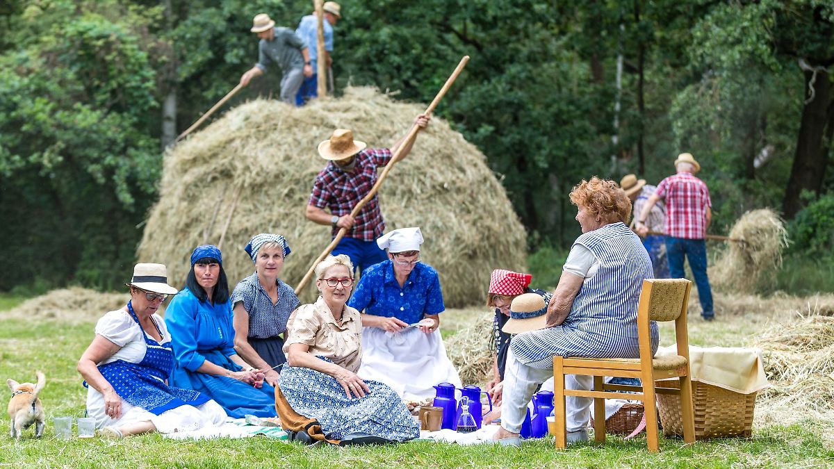 Berlin & Brandenburg: Traditioneller Heuschober in Alt Zauche aufgestellt