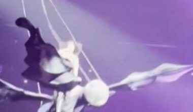 Der Tag: Katy Perry stürzt fast von fliegendem Schmetterling