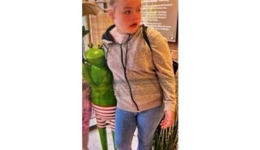 POL-HH: 250714-8. Vermisstenfahndungen nach zwei Mädchen aus Hamburg-Steilshoop und ...