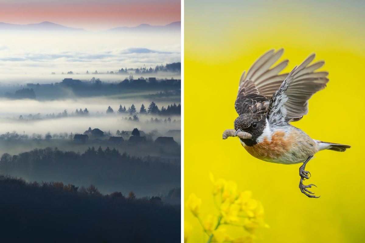 Das waren eure Fotos für Juni 2025