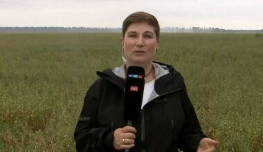 Einsatzkräfte im Dauerstress: Brand in Sachsen "droht nach Brandenburg überzugreifen"