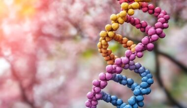 Hämophilie B: Erster Patient in Deutschland erhält Gentherapie