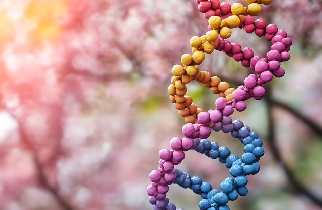 Hämophilie B: Erster Patient in Deutschland erhält Gentherapie