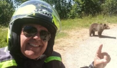 Der Tag: Tourist von Bär zerfleischt - gefährliche Selfies geben Spur