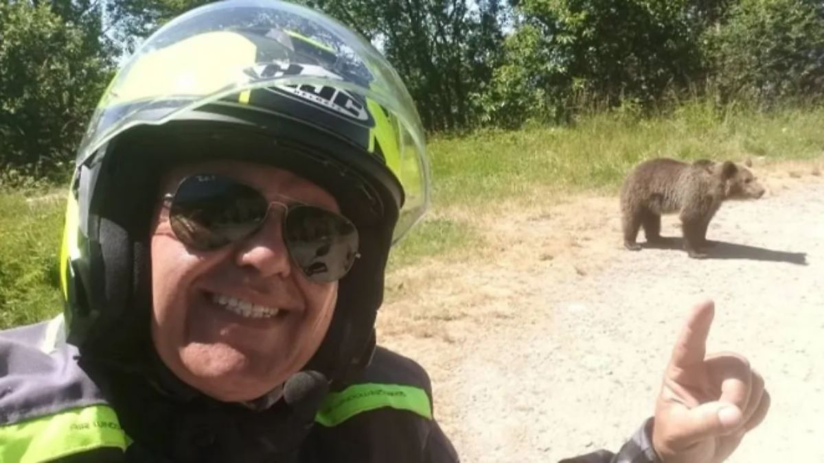 Der Tag: Tourist von Bär zerfleischt - gefährliche Selfies geben Spur