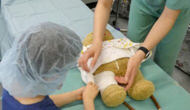 Das Teddybärkrankenhaus soll Kindern die Angst vor Arztbesuchen nehmen. Bild: Universität Leipzig / Anne Grimm