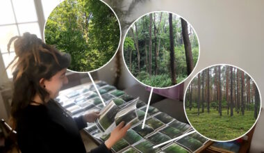 Menschen können Biodiversität sehr gut wahrnehmen · Leipziger Zeitung