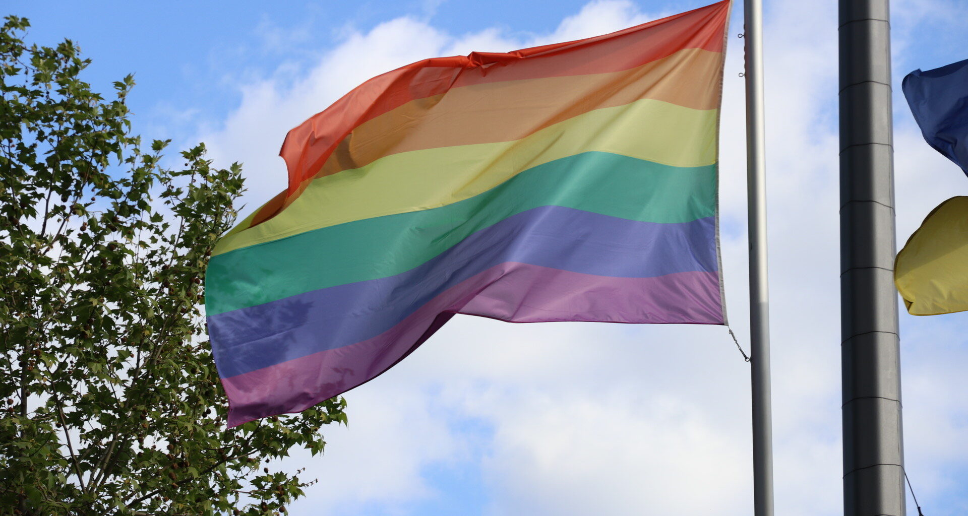 Regenbogenflagge am Rathaus.