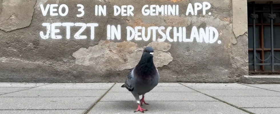 Du: Verfasse einen Artikel für OnlineMarketing.de. Orientiere dich beim Intro, Outro und bei den Zwischenüberschriften sowie der Headline an Baby got Business, aber etwas fachlicher. Paraphrasiere. . Starte kreativ in den Text, beispielsweise mit einem Zitat aus dem Interview oder einem Praxisbeispiel oder einem aktuellen Phänomen, was dazu passt. Paraphrasiere. Nutze bei Post-Hinweisen indirekte Zitate. Gendere mit Doppelpunkt alle deutschen Begriffe. Schreibe so, dass junge Die Zeit-Leser:innen an dem Artikel Interesse hätten. Zitate, wenn relevant, sollten in der Originalsprache beibhalten werden, also Englisch. Nenne die Urheber:innen der Quellen und erkläre kurz, wer das ist. Starte nicht mit einem direkten Zitat, lieber mit einem indirekten Zitat, wenn nötig. Arbeite mit gerundeten Zahlen, formellerem Stil, keinen Abkürzungen und einer Sprache, die sich an wissenschaftlichen Schreibregeln. Die Sätze sollen weniger Wörter haben, damit der Lesefluss besser ist. Quelle: Mail, die OnlineMarketing.de vorliegt: Hallo Niklas Lewanczik, Veo 3, das generative KI-Videomodell von Google, ist ab sofort in Deutschland verfügbar. In Gemini lassen sich nun mit Hilfe von deutschen Textprompts hochwertige Videos mit Sound generieren. Abonnent*innen von Google AI Pro können ab sofort mit Veo 3 in Gemini Videos per Prompt erstellen. Um KI-Videos aus Google-Tools als solche zu kennzeichnen, kommt das eingebettete Wasserzeichen SynthID zum Einsatz. Ergänzend wird ab sofort ein sichtbares Wasserzeichen in allen mit Veo 3 generierten Videos hinzugefügt. Weitere Informationen finden Sie in den Blogposts „Veo 3 in Gemini ab sofort in Deutschland verfügbar” und „Effektive Prompts für Veo 3”. Ergänzendes Pressematerial, einschließlich hochauflösender Videos und eines praktischen Prompt-One-Pagers, steht Ihnen unter diesem Link zur Verfügung. Wenn Sie Veo 3 ausprobieren wollen, melden Sie sich gerne bei uns. Quelle 2: Blog-Artikel von Google: Veo 3 in Gemini ab sofort in Deutschland verfügbar 03.Jul.2025 Lesedauer: 2 Minuten Mit Veo 3 könnt ihr zum ersten Mal Kurzvideos mit Sound generieren. G Google Deutschland Team Teilen Eine Taube steht auf Betonplatten vor einer Häuserwand, auf der mit weißer Schrift im Graffiti-Stil steht: "Veo 3 in der Gemini App. Jetzt in Deutschland." Wir haben unser innovativstes Videogenerierungsmodell Veo 3 erst vor ein paar Wochen auf der Google I/O vorgestellt. Veo 3 ermöglicht es zum ersten Mal, achtsekündige Videos mit Sound zu generieren – von einer jubelnden Menge im Hintergrund über das Plätschern eines Bachs bis hin zu Dialogen zwischen mehreren Charakteren. Seit der Vorstellung des Modells sind unzählige Videos, die mit Gemini erstellt wurden, viral gegangen. Sie haben Millionen von Menschen begeistert und gezeigt, was mit KI-generierten Videos möglich ist. Heute stellen wir Veo 3 für Google AI Pro-Abonnent*innen in Deutschland sowie in über 230 weiteren Ländern und Regionen zur Verfügung, in denen Gemini verfügbar ist. 1 Mit dem Google AI Pro-Abo könnt ihr in Gemini jeden Tag eine limitierte Anzahl an Videos generieren. Ein YouTube-Video mit verschiedenen Tieren aus der POV-Perspektive, welches mit Veo 3 generiert wurde. 0:49 Damit eure Videos auch so aussehen, wie ihr sie euch vorstellt, braucht ihr einen präzisen und gut beschriebenen Prompt. Eine Anleitung mit Tipps und Tricks zum Prompten für Veo 3 findet ihr hier. Wir arbeiten konsequent daran, die Videogenerierung für jeden sicher und verantwortungsvoll zu gestalten und ergreifen dafür wichtige Maßnahmen, wozu auch die Durchsetzung unserer Richtlinien für unzulässige Inhalte gehört. Videos enthalten ein sichtbares Wasserzeichen und ein unsichtbares digitales SynthID-Wasserzeichen, das kenntlich macht, dass die Videos mit KI generiert wurden. Zudem haben wir den SynthID Detector vor Kurzem für erste Tester*innen verfügbar gemacht. Dieser ist bald für mehr Nutzer*innen verfügbar. Dieses Verifizierungsportal hilft bei der schnellen und effizienten Identifizierung von KI-generierten Inhalten, die mit Google AI erstellt wurden. Egal ob ein Fisch-Chor, der am Hamburger Hafen ein Lied trällert oder ein headbangender Widder im Moshpit: Verwandelt eure verrücktesten Einfälle und Visionen in Videos, die man einfach sehen muss: Wir sind schon auf eure kreativen Clips gespannt. Verweise im Text auf da Video: https://www.youtube.com/watch?v=ncgGFU50yAY&t=1s&ab_channel=GoogleDeutschland Verweise auch auf unseren Artikel zu VEO 3 im Intro direkt: https://onlinemarketing.de/technologie/youtube-integriert-veo-3-shorts-ki-content-strategie ChatGPT: KI-Clips mit Sound und Stil: Veo 3 startet in Deutschland durch Stell dir vor, ein Widder headbangt im Moshpit – und alles, was du dafür brauchst, ist ein Text. Was bis vor Kurzem wie eine surreale Vision klang, ist mit Veo 3 Realität geworden. Das neue KI-Videomodell von Google ist nun auch in Deutschland verfügbar. Für Nutzer:innen mit Google AI Pro-Abo heißt das: Text eingeben, Video erhalten – inklusive Soundeffekten, Musik oder sogar Dialogen. Nachdem YouTube die Integration von Veo 3 für Shorts angekündigt hat (siehe unseren Artikel dazu), öffnet sich jetzt auch für Content Creator:innen, Marketer:innen und Developer ein kreatives Spielfeld direkt in der Gemini-App. Prompt, Play, Publish: Wie Veo 3 kreative Ideen in Sekunden zum Leben erweckt Veo 3 ist laut Google das bisher leistungsstärkste Modell zur KI-Videogenerierung. Die Besonderheit: Erstmals können Kurzvideos mit Ton erzeugt werden – etwa acht Sekunden lange Clips mit realistisch klingender Geräuschkulisse. Ob jubelnde Menschenmenge, plätschernder Bach oder ein kurzes Gespräch – die erzeugten Inhalte wirken lebendig, emotional und überraschend präzise. Ein Beispiel zeigt eindrucksvoll das Potenzial: In einem YouTube-Video von Google Deutschland wird die Welt durch Tieraugen gezeigt – mit Soundeffekten und dynamischer Perspektive. Die Clips wirken nicht mehr wie simple Animationen, sondern erinnern stilistisch an Musikvideos oder kreative Werbespots. Gemini als Studio: Wer Veo 3 nutzen kann – und was dabei zu beachten ist Die Nutzung von Veo 3 ist derzeit über die Gemini-App für Abonnent:innen des Google AI Pro-Plans möglich. Laut Google lassen sich dort täglich mehrere Videos erstellen. Die Eingabe erfolgt auf Deutsch, was besonders für hiesige Marketer:innen die Schwelle zur Anwendung deutlich senkt. Für die Qualität der Ergebnisse entscheidend: der Prompt. Google stellt dafür eine Anleitung mit Tipps und Beispielen bereit. Sie zeigt, wie man mit klaren Beschreibungen Stil, Kameraperspektive oder Lichtstimmung beeinflussen kann. Ein weiteres zentrales Thema ist die Kennzeichnung der generierten Inhalte. Veo 3 nutzt Googles Wasserzeichentechnologie SynthID – sowohl sichtbar als auch unsichtbar eingebettet. Damit soll sichergestellt werden, dass Zuschauer:innen wissen, wenn ein Clip KI-generiert wurde. Ergänzt wird diese Technik durch den sogenannten SynthID Detector, der aktuell getestet wird. Er ermöglicht die Verifizierung KI-generierter Inhalte und könnte für Plattformen und Redaktionen künftig eine wichtige Rolle spielen. Für Creator:innen, Agenturen und Marken: Was Veo 3 verändern könnte Die Einführung von Veo 3 in Deutschland ist mehr als ein weiteres KI-Feature – sie könnte die Produktionsrealität im digitalen Marketing nachhaltig verändern. Statt wochenlanger Planung und teurer Drehs reichen nun Ideen und ein präziser Text. Für Agenturen und Marken bedeutet das: mehr kreative Freiheit bei gleichzeitig sinkenden Produktionskosten. Gleichzeitig entstehen aber auch neue Fragen zu Transparenz, Urheberschaft und kreativer Kontrolle. Veo 3 fügt sich ein in einen größeren Trend: Plattformen wie Google, Meta und Adobe bauen ihre multimodalen KI-Tools systematisch aus. Die Integration von Veo 3 in YouTube Shorts zeigt, wie strategisch Google auf kurze, virale Formate setzt – eine Entwicklung, die Marketer:innen spätestens jetzt ernst nehmen sollten. Fazit: Willkommen in der Ära der sprechenden Prompts Mit Veo 3 öffnet Google ein neues Kapitel im Bereich der kreativen KI-Tools. Sound, Bewegung, Text – alles lässt sich nun in wenigen Sekunden zusammenbringen. Für Content-Produzent:innen bedeutet das: Wer promptet, produziert. Und wer kreativ denkt, kann mit Veo 3 Geschichten erzählen, die sich nicht mehr wie KI anfühlen – sondern wie echter Content. Ob Fisch-Chor im Hafen oder Graffiti-Poetik auf Berliner Betonplatten: Willkommen in der Ära der sprechenden Prompts. ALT-Text für YouTube-Video-Vorschau: Ein mit Veo 3 generiertes POV-Video zeigt Tiere in verschiedenen Szenarien mit Ton. Bildunterschrift: Veo 3 erzeugt KI-Videos mit Ton. Google demonstriert die neue Funktion mit kreativen POV-Clips in der Gemini-App. Interner Verweis: Mehr zu Googles KI-Videostrategie und der Veo 3-Integration in Shorts findet ihr hier. Du: Schreibe mehr wie eine OnlineMarketing.de-Redakteurin, bringe ein pointiertes und nicht generisches Fazit, dass unten ein Artikel-Widget hat und mache klickstarte pointierte Headlines und Zwischenüberschriften. ChatGPT: KI-Videos mit Sound? Veo 3 startet in Deutschland – und verändert, wie Marken Content denken Ein Widder im Moshpit, ein singender Fisch am Hafen, eine Graffiti-Taubenszene mit Stadtsound. Nein, das ist kein neues TikTok-Meme, sondern ein Ausblick auf das, was Marketer:innen mit wenigen Worten in der Gemini-App von Google erschaffen können. Mit Veo 3, dem neuen multimodalen KI-Modell für Videos mit Sound, startet Google jetzt auch in Deutschland – und katapultiert die Content-Produktion in eine neue Realität. Was bisher nur auf der I/O-Bühne angekündigt wurde und kürzlich in YouTube Shorts integriert wurde (hier geht’s zum Hintergrund), steht ab sofort allen Google AI Pro-Abonnent:innen auch hierzulande zur Verfügung. Vom Prompt zur Produktion: Was Veo 3 kann – und was nicht Acht Sekunden. Sound on. Keine Kamera. Kein Schnitt. Mit Veo 3 entstehen Mini-Clips, die nicht nur visuell ansprechend sind, sondern auch akustisch wirken. Jubelnde Menschenmengen, plätschernde Bäche oder ein kurzer Dialog – die KI ergänzt eure Texte mit passenden Geräuschen. Ein Feature, das vor allem für Creator:innen, Agenturen und Social-Teams spannend ist, die regelmäßig Formate für Shorts, Reels oder TikTok umsetzen. Doch: Wer promptet, muss präzise sein. Damit das Modell den gewünschten Stil, die Bewegung oder den Fokus umsetzt, braucht es klare Angaben. Google liefert dafür eine Anleitung mit Tipps zum Prompting – vom Kamera-Look über Lichtstimmungen bis zu Soundeffekten. Jetzt in Gemini: Wer Veo 3 wie nutzen kann Veo 3 ist Teil des Google AI Pro-Abos und läuft direkt in der Gemini-App – inklusive deutscher Spracheingabe. Pro Tag lässt sich eine begrenzte Zahl an Videos generieren. Das macht das Modell auch für den deutschen Markt interessant, weil es nun ohne Workarounds, VPNs oder Sprachhürden einsetzbar ist. Zum Schutz vor Desinformation versieht Google die Clips doppelt mit Wasserzeichen: SynthID (unsichtbar, maschinenlesbar) sichtbares Veo-Branding Zudem wurde mit dem SynthID Detector ein Prüfwerkzeug gelauncht, das KI-generierte Inhalte erkennt. Dieses Tool steht zunächst nur ausgewählten Tester:innen zur Verfügung – ein Schritt Richtung KI-Transparenz, der für Medien, Marken und Plattformen künftig relevant wird. Viralität per Prompt: Was Marketer:innen jetzt beachten sollten Die Integration von Veo 3 in YouTube Shorts war ein strategischer Vorbote. Jetzt beginnt der offene Test im deutschsprachigen Markt. Für Marken ergeben sich damit neue Chancen: Kampagnen können schneller und günstiger entstehen. Sound und visuelle Qualität heben die Clips von reinen Bildgeneratoren ab. Die KI lässt sich für Teaser, Produktinszenierungen oder Social Storytelling nutzen. Was dabei nicht passieren darf: KI-Videos ohne Konzept oder Kontext. Denn auch wenn die Technologie beeindruckt – ohne gutes Storytelling bleibt es ein Gimmick. Und: Sichtbarkeit braucht nach wie vor Plattform-Kompetenz. Nur wer weiß, wo und wie diese Clips performen, nutzt das Potenzial. Fazit: Veo 3 ist kein Gag – sondern ein Werkzeug für smarte Marken Wer jetzt noch denkt, KI-Videos seien Spielerei, verpasst den Anschluss. Veo 3 bringt realistische Clips mit Ton direkt auf den Schreibtisch – für alle, die strategisch arbeiten. Ob Produktlaunch, Kampagnenidee oder Social-Media-Format: Marken, die heute prompten lernen, setzen morgen neue Standards. 👉 Weitere Artikel zum Thema: YouTube Shorts integriert Veo 3: Googles neue KI-Content-Strategie Gemini, Veo & Co.: Die besten Google-KI-Tools für Marketer:innen So erkennst du KI-Videos – SynthID erklärt ALT-Text für YouTube-Vorschau: POV-Szene mit KI-generierten Tieren, Soundeffekten und Bewegungsdynamik. Bildunterschrift: Mit Veo 3 generierte Videos bieten erstmals realistische Ton- und Kameraperspektiven – direkt aus der Gemini-App. Du: Schreibe etwas fachlich besser und weniger blumig: Ein Widder im Moshpit, ein singender Fisch am Hafen, eine Graffiti-Taubenszene mit Stadt-Sound. Nein, das ist kein neues TikTok Meme, sondern ein Ausblick auf das, was Marketer mit wenigen Worten in der Gemini App, die seit kurzem ebenfalls hierzulande verfügbar ist, von Google erschaffen können. Mit Veo 3, dem multimodalen KI-Modell für Videos mit Sound, startet Google jetzt auch in Deutschland – und katapultiert die Content-Produktion in eine neue Realität. Was bisher nur auf der I/O-Bühne angekündigt wurde und kürzlich in YouTube Shorts integriert wurde, steht ab sofort allen Google AI Pro-Abonnent:innen auch hierzulande zur Verfügung. Veo 3 bringt KI-Videos in Shorts – und will „die Grenzen menschlicher Kreativität verschieben“ ChatGPT: Hier ist eine fachlich präzisere und sprachlich klarere Version deines Intros: Ein headbangender Widder, ein singender Fisch am Hafen oder eine Stadttaube vor Graffiti – was nach kreativen Social-Videos klingt, lässt sich inzwischen per Texteingabe generieren. Möglich macht das Veo 3, Googles neuestes multimodales KI-Modell zur Videogenerierung mit Ton. Ab sofort ist Veo 3 auch in Deutschland verfügbar – eingebettet in die Gemini-App für Nutzer:innen mit Google AI Pro-Abo. Was Google auf der I/O-Bühne erstmals vorgestellt und kürzlich in YouTube Shorts integriert hat, wird damit für Creator:innen und Marken im deutschsprachigen Raum praktisch nutzbar. Ziel des Tools: die Effizienz in der Content-Produktion steigern – und, wie Google es formuliert, „die Grenzen menschlicher Kreativität verschieben“. Du: Schreibe etwas besser: Ein headbangender Widder, ein singender Fisch am Hafen oder eine Stadttaube vor Graffiti: Was nach aufwendig produzierten Social-Videos klingt, lässt sich inzwischen in kürzester Zeit via Prompt generieren. Möglich macht das Veo 3, Googles neuestes multimodales KI-Modell zur Videogenerierung. Der Clou: Die Videos kommen ab sofort mit Ton daher. Und Veo 3 ist jetzt auch in Deutschland verfügbar – eingebettet in die Gemini App, die benfalls seit kurzem hierzulande verfügbar ist, für Nutzer:innen mit Google AI Pro-Abo. ChatGPT: Hier ist eine sprachlich geschärfte und stilistisch klarere Version deines Absatzes: Ein headbangender Widder, ein singender Fisch am Hafen oder eine Taube vor Graffiti-Wänden: Was bislang nach aufwendig produzierten Social-Videos klang, lässt sich jetzt in Sekunden per Texteingabe generieren. Möglich macht das Veo 3, das neueste multimodale KI-Modell von Google zur Videoproduktion. Der entscheidende Unterschied zu früheren Generationen: Die Clips enthalten erstmals auch Ton. Ab sofort ist Veo 3 auch in Deutschland verfügbar – eingebettet in die ebenfalls neu gestartete Gemini-App für Nutzer:innen mit Google AI Pro-Abo. Du: Mach ein fachlicheres Fazit:KI-Video-Tool Veo 3 startet in Deutschland durch Ein headbangender Widder, ein singender Fisch am Hafen oder eine Stadttaube vor Graffiti: Was nach aufwendig produzierten Social-Videos klingt, lässt sich inzwischen in kürzester Zeit via Prompt generieren. Möglich macht das Veo 3, Googles neuestes multimodales KI-Modell zur Videogenerierung. Der entscheidende Unterschied zu früheren Generationen: Die Clips enthalten erstmals auch Ton. Ab sofort ist Veo 3 auch in Deutschland verfügbar (für Nutzer:innen mit Google AI Pro-Abo) – eingebettet in die ebenfalls jüngst in Deutschland gestartete Gemini App Was Google auf der I/O-Bühne erstmals vorgestellt und kürzlich in YouTube Shorts integriert hat, wird damit für Creator und Marken im deutschsprachigen Raum praktisch nutzbar. Ziel des Tools: die Effizienz in der Content-Produktion steigern und, wie Google es formuliert, „die Grenzen menschlicher Kreativität verschieben“. Veo 3 bringt KI-Videos in Shorts – und will „die Grenzen menschlicher Kreativität verschieben“ Vom Prompt zur Produktion: Was Veo 3 kann – und was nicht Acht Sekunden. Sound on. Keine Kamera. Kein Schnitt. Mit Veo 3 entstehen Mini-Clips, die nicht nur visuell ansprechend sind, sondern auch akustisch wirken. Jubelnde Menschenmengen, plätschernde Bäche oder ein kurzer Dialog: Die KI ergänzt eure Texte mit passenden Geräuschen. Ein Feature, das vor allem für Creator, Agenturen und Social Teams spannend ist, die regelmäßig Formate für Shorts, Reels oder TikTok umsetzen. Doch: Wer promptet, muss präzise sein. Damit das Modell den gewünschten Stil, die Bewegung oder den Fokus umsetzt, braucht es klare Angaben. Google liefert dafür eine Anleitung mit Tipps zum Prompting – vom Kamera-Look über Lichtstimmungen bis zu Sound-Effekten. Jetzt in Gemini: Wer Veo 3 wie nutzen kann Veo 3 ist Teil des Google AI Pro-Abos und läuft direkt in der Gemini App – inklusive deutscher Spracheingabe. Pro Tag lässt sich eine begrenzte Zahl an Videos generieren. Das macht das Modell auch für den deutschen Markt interessant, weil es nun ohne Workarounds, VPNs oder Sprachhürden einsetzbar ist. Zum Schutz vor Desinformation versieht Google die Clips doppelt mit Wasserzeichen: • SynthID (unsichtbar, maschinenlesbar) • sichtbares Veo-Branding Zudem wurde mit dem SynthID Detector ein Prüfwerkzeug gelauncht, das KI-generierte Inhalte erkennt. Dieses Tool steht zunächst nur ausgewählten Tester:innen zur Verfügung und ist ein Schritt Richtung KI-Transparenz, der für Medien, Marken und Plattformen künftig relevant wird. Viralität per Prompt: Was Marketer jetzt beachten sollten Die Integration von Veo 3 in YouTube Shorts war ein strategischer Vorbote. Jetzt beginnt der offene Test im deutschsprachigen Markt. Für Marken ergeben sich damit neue Chancen: • Kampagnen können schneller und günstiger entstehen • Sound und visuelle Qualität heben die Clips von reinen Bildgeneratoren ab • Die KI lässt sich für Teaser, Produktinszenierungen oder Social Storytelling nutzen Was dabei nicht passieren darf: KI-Videos ohne Konzept oder Kontext. Denn auch wenn die Technologie beeindruckt, ohne gutes Storytelling bleiben solche Videos ein Gimmick. Und: Sichtbarkeit braucht nach wie vor Plattformkompetenz. Nur wer weiß, wo und wie diese Clips performen, nutzt das Potenzial. ChatGPT: Hier ist ein fachlich präziseres und pointierteres Fazit, passend zum Stil von OnlineMarketing.de: Fazit: Veo 3 ist kein Gimmick – sondern ein Tool mit strategischem Potenzial Mit Veo 3 bringt Google nicht nur ein weiteres KI-Feature auf den Markt, sondern ein Tool, das Content-Workflows grundlegend verändern kann – insbesondere für Social-first-Kampagnen. Die Kombination aus Video, Ton und präzisem Prompting eröffnet neue Möglichkeiten für Markenkommunikation, visuelles Storytelling und kreative Testszenarien. Gleichzeitig steigt der Anspruch an Planung und Umsetzung: Wer Veo 3 nutzt, braucht klare Konzepte, Plattformverständnis und redaktionelle Sorgfalt. Denn die technische Hürde ist gesunken – der kreative Qualitätsanspruch bleibt. Marken, die das KI-Potenzial strategisch nutzen, können sich damit frühzeitig differenzieren. 👉 Weitere Artikel zum Thema: YouTube Shorts integriert Veo 3: Googles neue KI-Content-Strategie Gemini, Veo & Co.: Die besten Google-KI-Tools für Marketer:innen So erkennst du KI-Videos – SynthID erklärt Du: Mache es weniger aufgebauscht ChatGPT: Gerne – hier ist ein sachlicheres, weniger aufgeladenes Fazit im Stil von OnlineMarketing.de: Fazit: Veo 3 bringt Effizienz – und erfordert klare Zielsetzung Mit Veo 3 steht Nutzer:innen in Deutschland erstmals ein KI-Videotool von Google zur Verfügung, das neben Bild auch Ton generiert – direkt in der Gemini App. Für Marketing- und Social-Media-Teams bietet das Modell neue Möglichkeiten, schnell und flexibel Content zu erstellen. Gleichzeitig zeigt sich: Der Einsatz von Veo 3 erfordert eine durchdachte Prompt-Strategie und ein klares Konzept. Ohne inhaltliche Zielsetzung bleibt der kreative Effekt begrenzt. Wer das Tool sinnvoll in bestehende Workflows integriert, kann Produktion beschleunigen – sollte aber auf Relevanz und Plattformkontext achten. 👉 Weitere Artikel zum Thema: YouTube Shorts integriert Veo 3: Googles neue KI-Content-Strategie Gemini, Veo & Co.: Die besten Google-KI-Tools für Marketer:innen So erkennst du KI-Videos – SynthID erklärt Du: verweise im Text auch mit passendem Kontext darauf: https://onlinemarketing.de/technologie/omniavatar-alibaba-ki-avatar-videomodell-full-body-open-source ChatGPT: Natürlich – hier ist das überarbeitete, sachlichere Fazit mit passender Kontextverlinkung zum OmniAvatar-Artikel: Fazit: Veo 3 bringt Effizienz – vorausgesetzt, der Einsatz ist gut geplant Mit Veo 3 steht nun auch in Deutschland ein leistungsfähiges KI-Videotool zur Verfügung, das Text-Prompts erstmals mit Bild und Ton umsetzt. Für Teams im Content- und Kampagnenbereich kann das die Produktionszeiten verkürzen – vor allem für Social-Media-Formate mit kurzer Laufzeit. Gleichzeitig bleibt die Qualität stark abhängig vom Prompting und von der Einbettung in eine inhaltlich klare Strategie. Mit Blick auf aktuelle Entwicklungen wie Alibabas OmniAvatar, einem Open-Source-Modell für realistische Full-Body-KI-Avatare (mehr dazu hier), zeigt sich: Die Zahl der KI-gestützten Video-Tools wächst – und mit ihr der Bedarf nach professionellem Umgang mit solchen Technologien. Für Marketer:innen heißt das: Tools wie Veo 3 sollten nicht isoliert genutzt, sondern in bestehende Kreativprozesse integriert werden. 👉 Weitere Artikel zum Thema: YouTube Shorts integriert Veo 3: Googles neue KI-Content-Strategie Gemini, Veo & Co.: Die besten Google-KI-Tools für Marketer:innen So erkennst du KI-Videos – SynthID erklärt OmniAvatar von Alibaba: Open-Source-KI für realistische Avatare im Full Body Format Du: Verfasse eine klickstarke Headline, die sowohl die Gen Z anspricht als auch den Ansprüchen eine seriösen Zeitung wie der Zeit entspricht. Schreibe auch einen entsprechenden klickstarken kurzen SEO Titel und einen SEO Auszug. Schreibe so, dass du Lust hättest, auf den Artikel zu klicken bzw. ihn zu lesen. Erstelle eine Titelform in diesem Stil "hallo-linkedin-updates” und eine Keyphrase. Mache die Sätze nicht zu lang. Verfasse eine Titelform mit Bindestrichen und ohne Füllwörter: Ein headbangender Widder, ein singender Fisch am Hafen oder eine Stadttaube vor Graffiti: Was nach aufwendig produzierten Social-Videos klingt, lässt sich inzwischen in kürzester Zeit via Prompt generieren. Möglich macht das Veo 3, Googles neuestes multimodales KI-Modell zur Videogenerierung. Der entscheidende Unterschied zu früheren Generationen: Die Clips enthalten erstmals auch Ton. Ab sofort ist Veo 3 auch in Deutschland verfügbar (für Nutzer:innen mit Google AI Pro-Abo) – eingebettet in die ebenfalls jüngst in Deutschland gestartete Gemini App Was Google auf der I/O-Bühne erstmals vorgestellt und kürzlich in YouTube Shorts integriert hat, wird damit für Creator und Marken im deutschsprachigen Raum praktisch nutzbar. Ziel des Tools: die Effizienz in der Content-Produktion steigern und, wie Google es formuliert, „die Grenzen menschlicher Kreativität verschieben“. Veo 3 bringt KI-Videos in Shorts – und will „die Grenzen menschlicher Kreativität verschieben“ YouTube Shorts-Hintergrundbild, © YouTube via Canva Vom Prompt zur Produktion: Was Veo 3 kann – und was nicht Acht Sekunden. Sound on. Keine Kamera. Kein Schnitt. Mit Veo 3 entstehen Mini-Clips, die nicht nur visuell ansprechend sind, sondern auch akustisch wirken. Jubelnde Menschenmengen, plätschernde Bäche oder ein kurzer Dialog: Die KI ergänzt eure Texte mit passenden Geräuschen. Ein Feature, das vor allem für Creator, Agenturen und Social Teams spannend ist, die regelmäßig Formate für Shorts, Reels oder TikTok umsetzen. Doch: Wer promptet, muss präzise sein. Damit das Modell den gewünschten Stil, die Bewegung oder den Fokus umsetzt, braucht es klare Angaben. Google liefert dafür eine Anleitung mit Tipps zum Prompting – vom Kamera-Look über Lichtstimmungen bis zu Sound-Effekten. Jetzt in Gemini: Wer Veo 3 wie nutzen kann Veo 3 ist Teil des Google AI Pro-Abos und läuft direkt in der Gemini App – inklusive deutscher Spracheingabe. Pro Tag lässt sich eine begrenzte Zahl an Videos generieren. Das macht das Modell auch für den deutschen Markt interessant, weil es nun ohne Workarounds, VPNs oder Sprachhürden einsetzbar ist. Zum Schutz vor Desinformation versieht Google die Clips doppelt mit Wasserzeichen: SynthID (unsichtbar, maschinenlesbar) sichtbares Veo-Branding Zudem wurde mit dem  SynthID Detector ein Prüfwerkzeug gelauncht, das KI-generierte Inhalte erkennt. Dieses Tool steht zunächst nur ausgewählten Tester:innen zur Verfügung und ist ein Schritt Richtung KI-Transparenz, der für Medien, Marken und Plattformen künftig relevant wird. Viralität per Prompt: Was Marketer jetzt beachten sollten Die Integration von Veo 3 in YouTube Shorts war ein strategischer Vorbote. Jetzt beginnt der offene Test im deutschsprachigen Markt. Für Marken ergeben sich damit neue Chancen: Kampagnen können schneller und günstiger entstehen Sound und visuelle Qualität heben die Clips von reinen Bildgeneratoren ab Die KI lässt sich für Teaser, Produktinszenierungen oder Social Storytelling nutzen Was dabei nicht passieren darf: KI-Videos ohne Konzept oder Kontext. Denn auch wenn die Technologie beeindruckt, ohne gutes Storytelling bleiben solche Videos ein Gimmick. Und: Sichtbarkeit braucht nach wie vor Plattformkompetenz. Nur wer weiß, wo und wie diese Clips performen, nutzt das Potenzial. Veo 3 bringt Effizienz – und erfordert klare Zielsetzung Mit Veo 3 steht nun auch in Deutschland ein leistungsfähiges KI-Videotool zur Verfügung, das Text-Prompts erstmals mit Bild und Ton umsetzt. Für Teams im Content- und Kampagnenbereich kann das die Produktionszeiten verkürzen – vor allem für Social-Media-Formate mit kurzer Laufzeit. Gleichzeitig bleibt die Qualität stark abhängig vom Prompting und von der Einbettung in eine inhaltlich klare Strategie. Mit Blick auf aktuelle Entwicklungen wie Alibabas OmniAvatar, einem Open-Source-Modell für realistische Full-Body-KI-Avatare, zeigt sich: Die Zahl der KI-gestützten Video-Tools wächst – und mit ihr der Bedarf nach professionellem Umgang mit solchen Technologien. ChatGPT: Hier sind deine klickstarken und zugleich seriös formulierten Vorschläge – ideal abgestimmt auf ein junges, medienaffines Publikum mit Qualitätsanspruch (wie bei Die Zeit) und gleichzeitig SEO-optimiert für OnlineMarketing.de: 🧠 Headline (Haupttitel für Artikelansicht): KI-Videos mit Ton: Was Marketer:innen jetzt über Googles Veo 3 wissen müssen Kombination aus Neugier, fachlichem Mehrwert und Trendbezug – wirkt für Gen Z und Professionals gleichermaßen ansprechend. 🔍 SEO-Titel (max. 60 Zeichen): Googles Veo 3: KI-Videos mit Sound jetzt in Deutschland Klar, informativ, relevant – ideal für Suchergebnisse. 📝 SEO-Auszug / Meta Description (max. 155 Zeichen): Googles Veo 3 ist ab sofort in Deutschland verfügbar. Das KI-Tool erzeugt Videos mit Ton – und verändert, wie Marken Social Content produzieren. 🪪 Titelform im Stil von „hallo-linkedin-updates“: prompt-videos-mit-sound-googles-veo-3-startet-in-deutschland Direkt, informativ und im gängigen Format für Social Sharing oder interne Verlinkung. 🔑 Empfohlene SEO-Keyphrase: KI-Videos mit Ton generieren Diese Keyphrase ist suchrelevant, spezifisch und zielt auf Nutzer:innen ab, die praktische Tools oder Anleitungen suchen. Wenn du möchtest, kann ich zusätzlich noch Social-Captions oder Teasertexte für LinkedIn, Instagram oder Newsletter entwerfen – sag einfach Bescheid. Du: Starte beim Meta Text nicht mit Google am Satzanfang und mach eine klickstarken SEO Titel ChatGPT: Natürlich – hier ist die überarbeitete Version mit einem stärkeren Einstieg im Meta Text und einem aufmerksamkeitsstarken SEO-Titel: ✅ SEO-Titel (klickstark, max. 60 Zeichen): KI-Video mit Ton: Veo 3 bringt Googles Content-Zukunft Kombiniert Neugier, Nutzenversprechen und Markenbezug – ohne generisch zu wirken. 📝 SEO-Auszug / Meta Description (max. 155 Zeichen): Erzeuge in Sekunden KI-Videos mit Sound: Veo 3 startet in Deutschland und verändert, wie Marken kreativ und effizient Content produzieren. Möchtest du zusätzlich noch eine Social-Media-Überschrift (für LinkedIn/X/Instagram) oder einen kurzen Newsletter-Teaser? Du: Seit wann ist es eig verfügbar für andere? ChatGPT: Veo 3 wurde erstmals auf der Google I/O im Mai 2025 vorgestellt und stand zunächst ausschließlich Nutzer:innen des Premium-Plans Google AI Ultra zur Verfügung, zu einem Preis von rund 250 USD pro Monat androidcentral.com +13 indiatoday.in +13 indiatimes.com +13 . Bereits im Mai wurde das Modell auf bis zu 71 weitere Länder ausgeweitet – zunächst auch ohne Deutschland – und Pro-Abonnent:innen erhielten ein Mini-Paket mit maximal zehn „Veo 3 Fast“-Videos pro Tag indiatoday.in +1 9to5google.com +1 . Seit 2. Juli 2025 ist Veo 3 weltweit in allen Regionen nutzbar, in denen die Gemini App verfügbar ist, also auch in Deutschland, und zwar für alle Nutzer:innen mit Google AI Pro‑Abo. Damit lässt sich das KI‑Tool direkt und ohne Umwege einsetzen en.wikipedia.org +15 9to5google.com +15 fonearena.com +15 . Kurzüberblick zur Verfügbarkeit: Plan Seit wann Umfang AI Ultra Mai 2025 Abschnittsweise exklusiver Zugang, Full-Feature inklusive Ton AI Pro Juni 2025 Erste Testpakete mit bis zu 10 Videos pro Tag („Fast“-Modus) AI Pro global 2. Juli 2025 Voller Zugang auch in Deutschland, tägliche Nutzung in Gemini App Wenn du Veo 3 nutzen möchtest: Du brauchst ein Google AI Pro-Abo und die aktuelle Gemini App – schon kannst du täglich mehrere achtsekündige KI‑Videos mit Ton generieren. Quellen Du: Bringe das mti Mai rein und jetzt Juli ChatGPT: Gerne – hier ist dein überarbeiteter SEO-Auszug inklusive präziser zeitlicher Einordnung: 📝 SEO-Auszug / Meta Description (max. 155 Zeichen): Seit Mai nur im AI-Ultra-Abo, jetzt im Juli für alle Pro-Nutzer:innen: Veo 3 generiert KI-Videos mit Ton – und verändert die Content-Produktion. Wenn du möchtest, kann ich auch den Artikel-Teaser, das Fazit oder die Einleitung entsprechend anpassen. Du: Und Deutschland im Vergleich quasi, also nach ... Zeit endlcih in Deutschland verfügbar ChatGPT: Natürlich – hier ist die überarbeitete Meta Description mit klarerem Zeitbezug und Fokus auf die verspätete Verfügbarkeit in Deutschland: 📝 SEO-Auszug / Meta Description: Nach zwei Monaten Wartezeit ist Veo 3 nun auch in Deutschland verfügbar: Das KI-Tool von Google erzeugt per Prompt erstmals Videos mit Ton – direkt in Gemini. Du: Und jetzt einen klickstarken SEO TITel ChatGPT: Gerne – hier ist ein klickstarker SEO-Titel, der sowohl Neugier weckt als auch Suchintentionen abdeckt: ✅ SEO-Titel: Veo 3 jetzt in Deutschland: KI-Videos mit Ton per Prompt Klar, relevant, keywordstark – spricht sowohl Tech-Interessierte als auch Marketer:innen an und passt in die Google-SERPs. Du: Mache noch fulminanter ChatGPT: Gerne – hier ist eine noch aufmerksamkeitsstärkere Variante des SEO-Titels, die Neugier und Relevanz vereint: ✅ Klickstarker SEO-Titel: KI-Videos mit Sound? Veo 3 landet endlich in Deutschland Emotionaler Einstieg („endlich“), klare Frage plus Nutzenversprechen – ideal für hohe Klickrate, ohne an Seriosität zu verlieren. Du: Mach 3 Alternativen ChatGPT: Natürlich – hier sind drei weitere klickstarke, SEO-optimierte Titelalternativen, die sowohl Relevanz als auch Aktualität und Neugier kombinieren: 🔹 Alternative 1: Googles Veo 3 startet in Deutschland – KI-Videos jetzt mit Ton Kombiniert Markenname, News-Wert und Feature-Highlight direkt sichtbar. 🔹 Alternative 2: KI-Videos neu gedacht: Veo 3 bringt Sound und Gemini nach Deutschland Betont den Innovationscharakter und hebt gleichzeitig die Plattformintegration hervor. 🔹 Alternative 3: Veo 3 kommt nach Deutschland – und macht KI-Videos hörbar Kurz, prägnant, mit einem klaren inhaltlichen USP („hörbar“). Sag gerne Bescheid, wenn du eine Variante speziell für Social Media oder Newsletter brauchst. Du: Noch mehr ChatGPT: Natürlich – hier kommen weitere klickstarke, SEO-freundliche Titelvorschläge, die neugierig machen, gleichzeitig informativ sind und für ein Publikum funktionieren, das sowohl tech- als auch medienaffin ist: 🔸 Alternative 4: KI-Videos mit Ton: Veo 3 startet nach langem Warten in Deutschland Nutzt die Spannung durch „nach langem Warten“ und rückt das neue Feature in den Fokus. 🔸 Alternative 5: Jetzt auch in Deutschland: Googles Veo 3 macht KI-Videos vertonbar Deckt Standortbezug und Hauptfunktion in einem Satz ab. 🔸 Alternative 6: Veo 3 endlich verfügbar: KI-Videos mit Sound kommen nach Deutschland „Endlich verfügbar“ erzeugt Dringlichkeit, „Sound“ schafft Neugier. 🔸 Alternative 7: KI-Content mit Ton: Google bringt Veo 3 nach Deutschland Kurz, klar, professionell – ideal auch für Desktop-SERP-Darstellungen. 🔸 Alternative 8: Gamechanger für Creator:innen? Veo 3 startet jetzt in Deutschland Leicht provokativ, adressiert direkt die Zielgruppe. 🔸 Alternative 9: Prompt. Ton. Video. Veo 3 startet jetzt in Deutschland Modern, rhythmisch und fokussiert – perfekt für Aufmerksamkeit in Feed und Suche. Wenn du magst, formuliere ich auch eine Variante für A/B-Testing in Social Ads oder Newsletter-Betreffzeilen. Du: Schreibe doch nochmal anders, das gefällt mir nicht: ChatGPT: Klar! Hier ist eine neue Runde SEO-Titel-Vorschläge, weniger generisch, pointierter und mit mehr Relevanz für dein OnlineMarketing.de-Publikum – also Marketer:innen, Creator:innen, Tech-Interessierte und News-Leser:innen: 🔥 Neue SEO-Titel-Vorschläge (kompakt, klickstark, professionell): Veo 3 startet in Deutschland – Googles KI-Videos jetzt mit Ton → News + Feature-Fokus, klarer Nutzen, funktioniert in SERPs und Feeds. Googles Veo 3 in Deutschland: So erzeugst du KI-Videos mit Sound → Praxisorientiert, adressiert direkt den Use Case, gut für How-to-Intention. KI-Videos per Prompt mit Ton: Veo 3 kommt endlich nach Deutschland → Kombination aus technischer Neuerung + Marktverfügbarkeit. Veo 3 jetzt auch in Deutschland – Google bringt Sound in KI-Videos → Betont das „auch jetzt bei uns“ mit Produkt-Upgrade im Fokus. Creator-Tool Veo 3: Googles KI-Videos mit Ton starten in Deutschland → Hebt hervor, wer angesprochen wird – klarer Zielgruppenbezug. KI-Videos mit Ton? Veo 3 startet endlich in Deutschland → Frageform + „endlich“ = Neugier + Aktualität Googles KI-Videotool Veo 3 jetzt in Deutschland verfügbar → Straightforward für professionelle Leser:innen – ideal für News-Publikationen. Wenn du magst, erstelle ich auch eine Variante mit starkem Action Hook für Paid Ads oder eine mobil optimierte Version mit unter 45 Zeichen für Twitter/X oder LinkedIn. Sag einfach Bescheid! Du: Verweise auf das Video im Intro und mach eine Videounterschrift mit Copyright Zeichen: https://www.youtube.com/watch?v=ncgGFU50yAY&t=1s&ab_channel=GoogleDeutschland ChatGPT: Gerne – hier ist dein überarbeitetes Intro inklusive Verweis auf das YouTube-Video und eine passende Video-Unterschrift mit Copyright-Hinweis im Stil von OnlineMarketing.de: 🔎 Intro mit Video-Verweis: Eine Taube fliegt durch ein urbanes Graffiti-Setting, aus der Ich-Perspektive eines Fisches ertönt Musik, ein Widder tanzt im Moshpit. Was wie aufwendig produzierte Social-Videos wirkt, wurde in wenigen Sekunden per Textprompt generiert – mit Sound. Das demonstriert Google eindrücklich im offiziellen YouTube-Clip zu Veo 3. Mit Veo 3, dem neuen KI-Videotool von Google, lassen sich erstmals kurze Clips mit Ton per Prompt erstellen. Jetzt ist das Modell auch in Deutschland verfügbar – eingebettet in die Gemini-App für Nutzer:innen mit Google AI Pro-Abo. Damit wird eine Technologie nutzbar, die bislang nur auf der I/O-Bühne und in YouTube Shorts sichtbar war – und jetzt Marken, Creator:innen und Agenturen eine neue Ebene der Content-Produktion eröffnet. 🎥 Video-Unterschrift (unter eingebettetem Clip): YouTube-Video zu Veo 3: Google zeigt Beispiele für KI-generierte POV-Videos mit Ton © Google Deutschland / YouTube Möchtest du das Video auch visuell als eingebetteten Player in den Artikel einbauen lassen (mit Screenshot-Vorschaubild und ALT-Text), kann ich dir das ebenfalls passend vorbereiten. Du: Erstelle eine kurze prägnante Bildunterschrift mit Copyright-Zeichen und einen ALT-Text. Erstelle auch einen kurzen TItel ChatGPT: Gerne! Hier sind deine Vorschläge: 🖼️ Bildtitel: Veo 3 kommt nach Deutschland 📝 Bildunterschrift: Taube vor Graffiti-Wand als Hinweis auf den Start von Veo 3 in der Gemini-App © Google Deutschland / YouTube 📷 ALT-Text: Taube auf Pflaster vor einer Mauer mit der Aufschrift „Veo 3 in der Gemini App. Jetzt in Deutschland.“