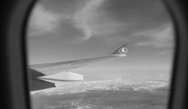 Turkish Airlines Winglet Graustufen