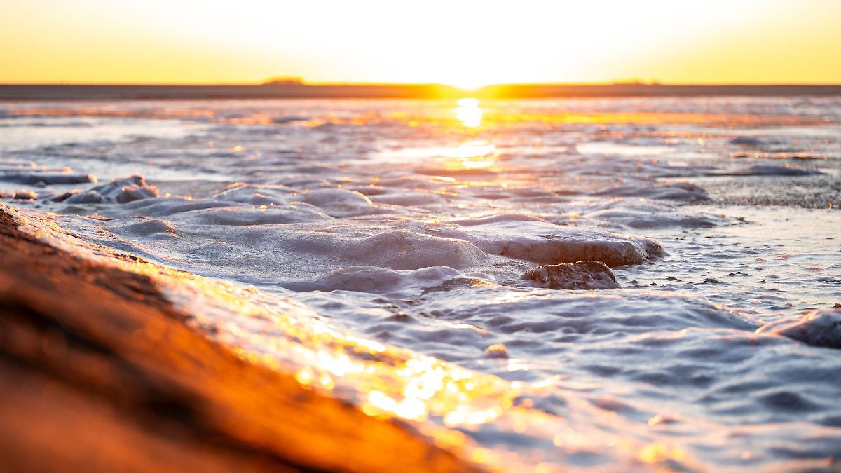 Hamburg & Schleswig-Holstein: Koks-Schwemme am Sylter Strand gestoppt