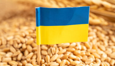 Schutz für EU-Landwirte: Agrarimporte Ukraine mit neuen Quoten und Auflagen