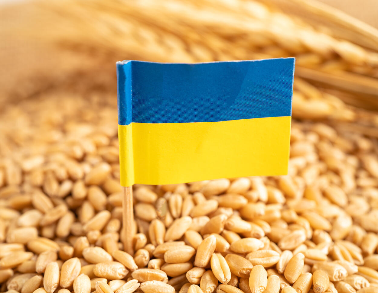 Schutz für EU-Landwirte: Agrarimporte Ukraine mit neuen Quoten und Auflagen