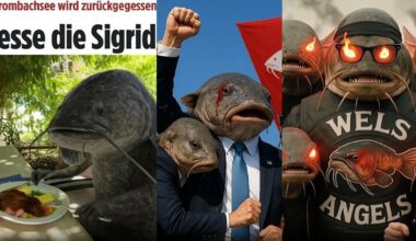 Fisch lebt jetzt im Meme-Paradies: Deutschland lacht über den Wels-Krimi vom Brombachsee