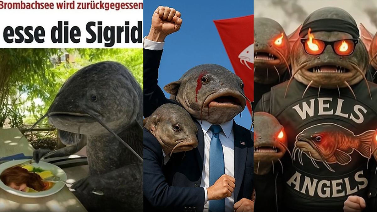 Fisch lebt jetzt im Meme-Paradies: Deutschland lacht über den Wels-Krimi vom Brombachsee