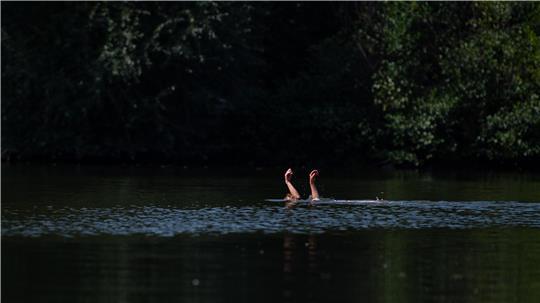Wer beim Schwimmen in Not gerät, sollte auf sich aufmerksam machen - etwa mit den Armen winken und rufen (Symbolbild).