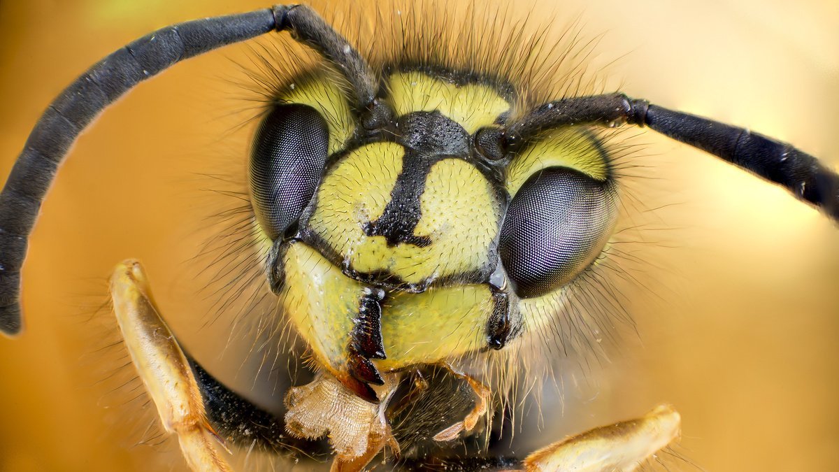Fotografische Vielfalt – Die Bilder der Woche 30