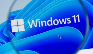 Windows 11