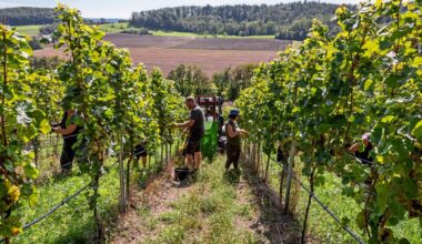 Ilija Trojanow: "Unsere Haltung zum Rausch ist nicht geklärt" - Literatur