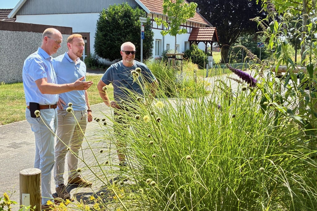 Halle gestaltet Beete insektenfreundlich um