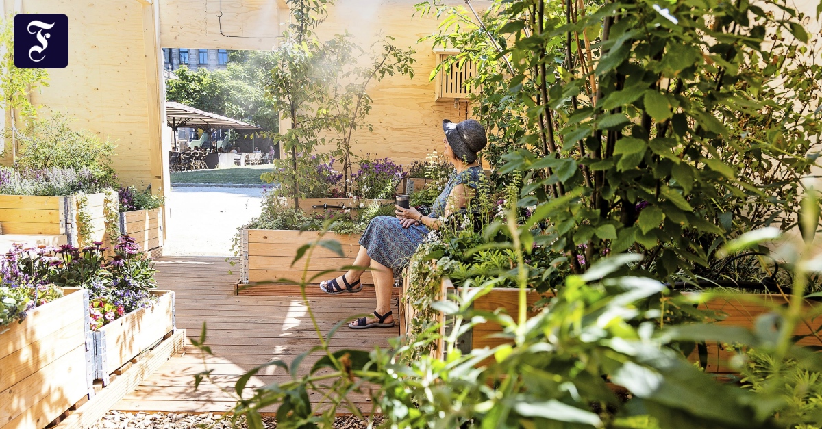 Klimakiste in Wiesbaden: Grüne Oase gegen Sommerhitze