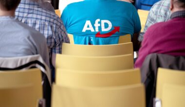 AfD-Mitglieder im Staatsdienst? Länder setzten auf Einzelfallprüfung
