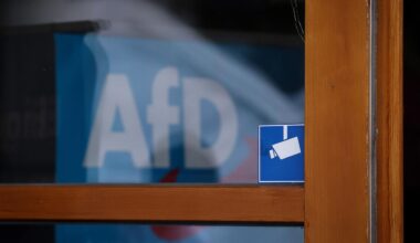 Schweitzer für Prüfung von AfD-Verbot