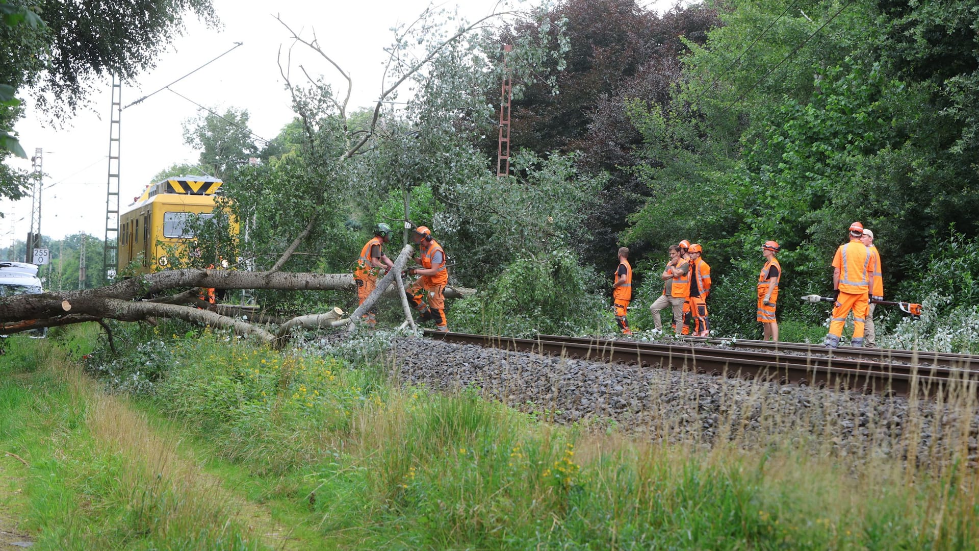 Baum blockiert Bahnstrecke Bremen - Hamburg