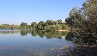 Taucher ziehen 74-Jährigen leblos aus dem Auensee