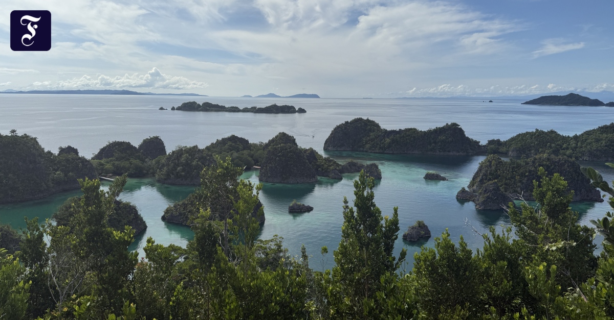 Bergbau in Indonesien: Ausverkauf im Paradies