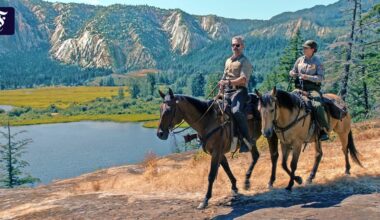 Die Netflix-Serie „Untamed“ handelt vom Mord im Yosemite-Park - FAZ