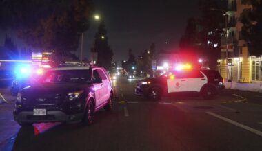 Auto fährt in Menschenmenge – Polizei nimmt Fahrer in Gewahrsam