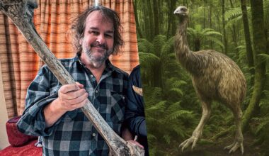 „Herr der Ringe“-Regisseur: Peter Jackson belebt ausgestorbene Moas | Leben & Wissen