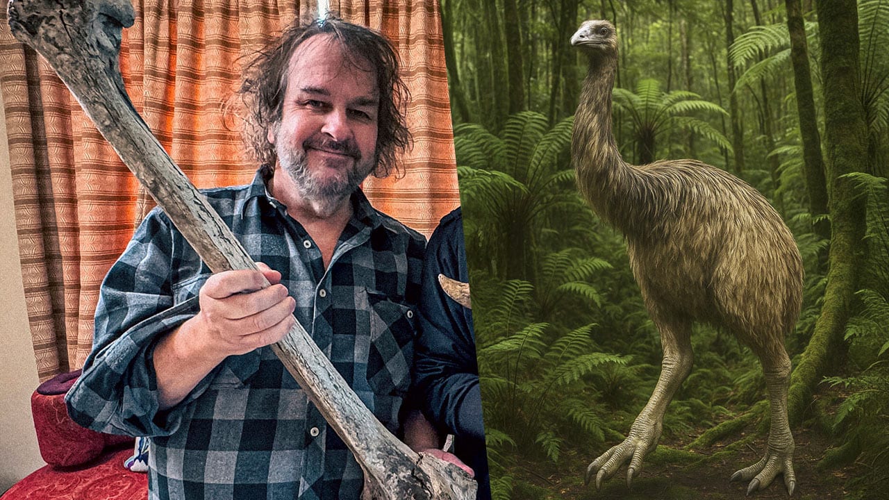 „Herr der Ringe“-Regisseur: Peter Jackson belebt ausgestorbene Moas | Leben & Wissen
